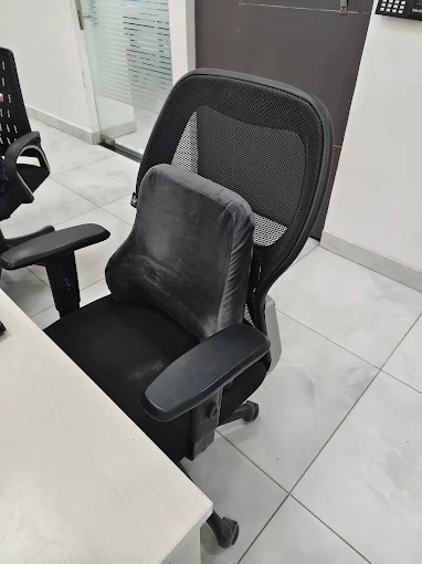 SpineArch ergonomic cushion product